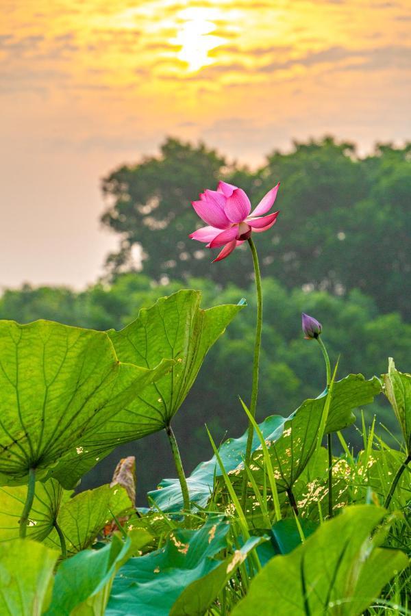 SON HOME garden Hue Exterior foto