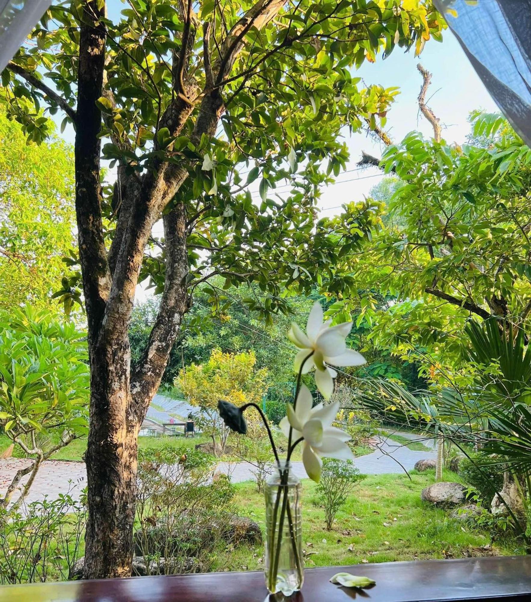SON HOME garden Hue Exterior foto